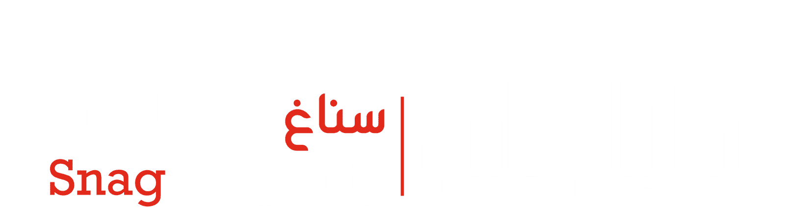 Snag Property Inspection
